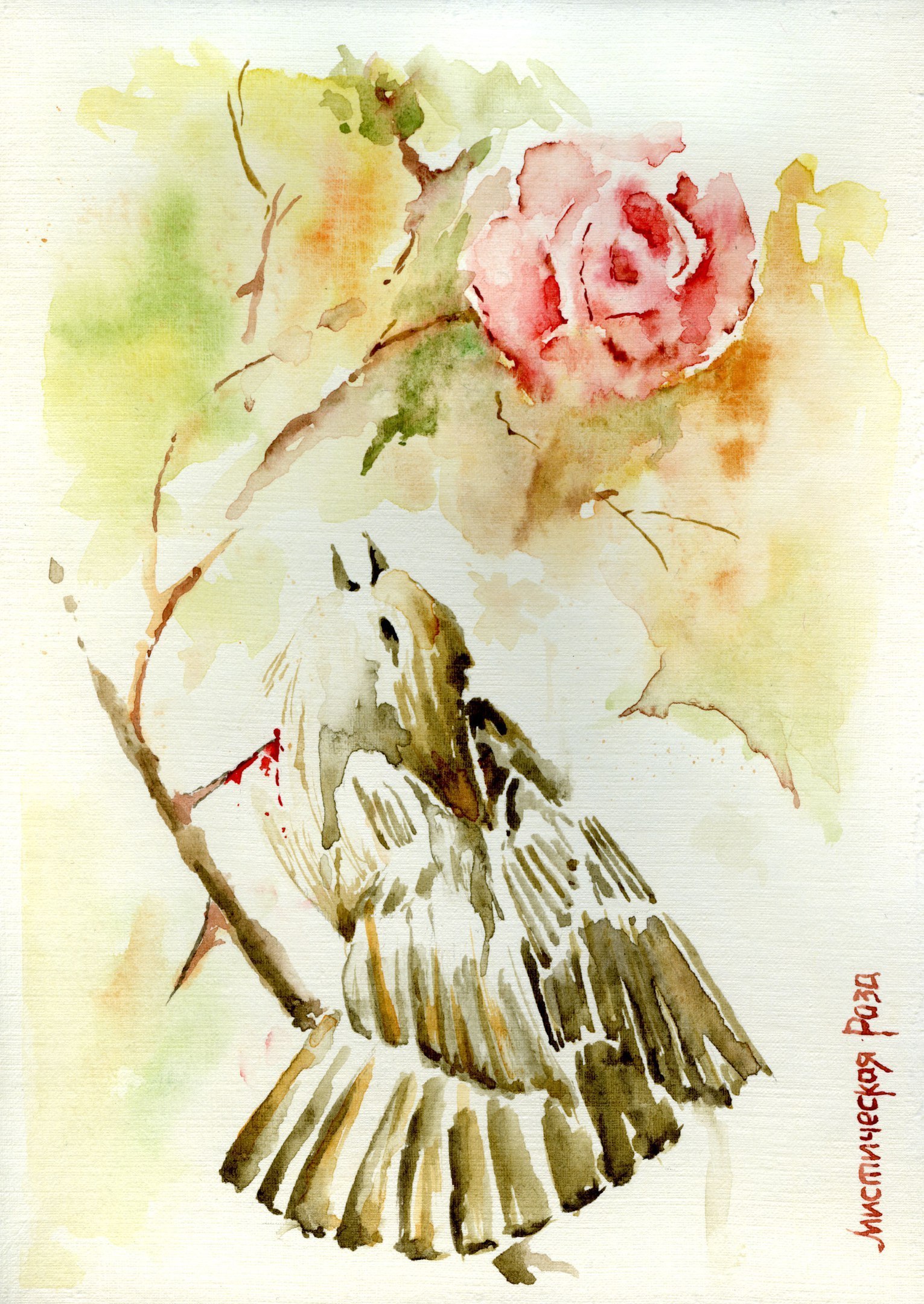 Мистическая роза Acidica perfumes открытка акварели Елена Пильгун