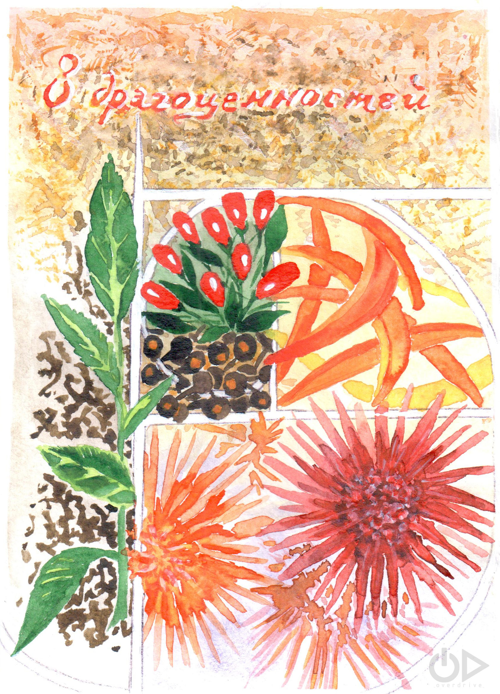 Чай 8 драгоценностей Acidica perfumes открытка акварели Анна Закревская