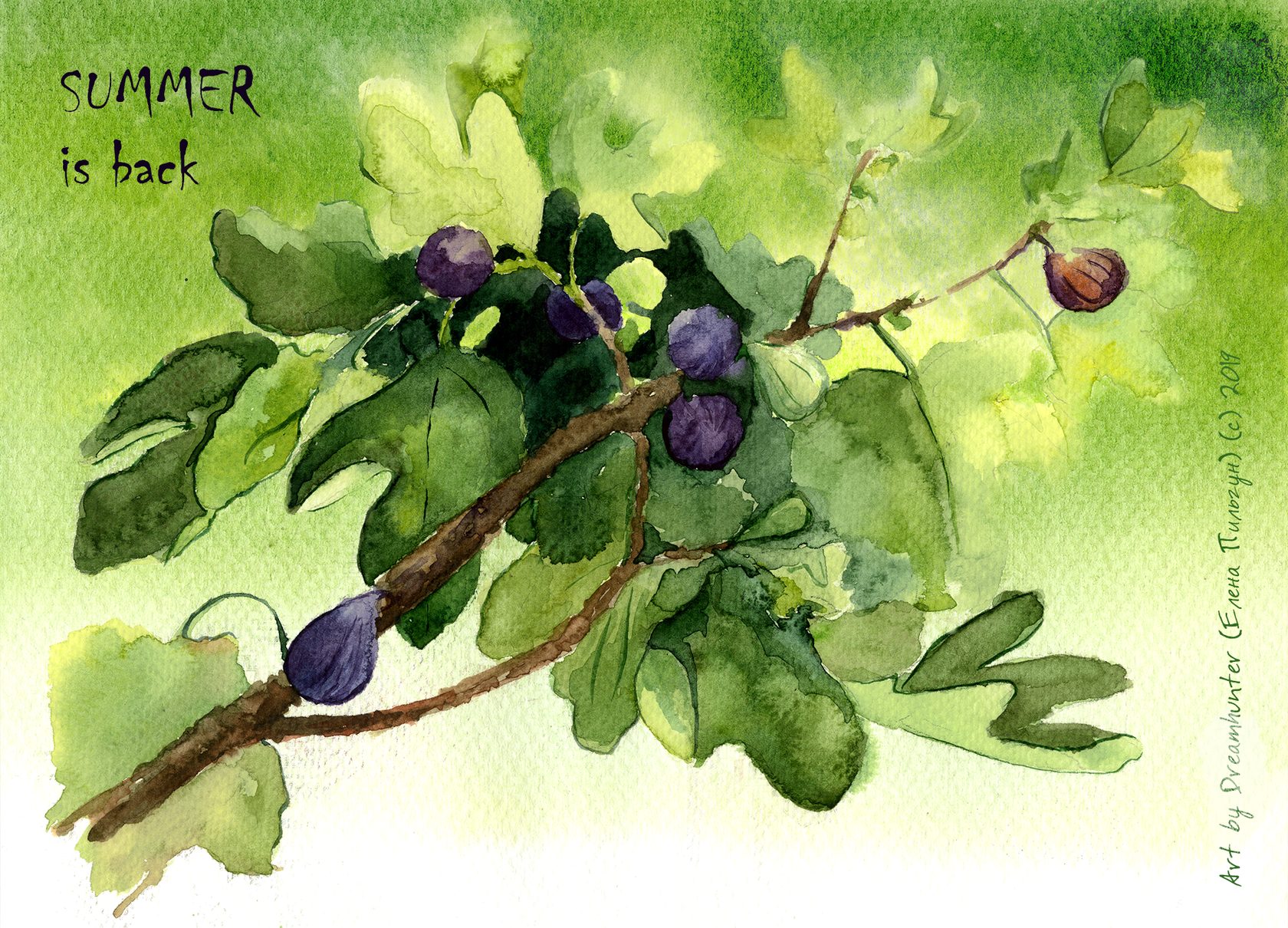 Summer is Back Acidica perfumes открытка акварели Елена Пильгун