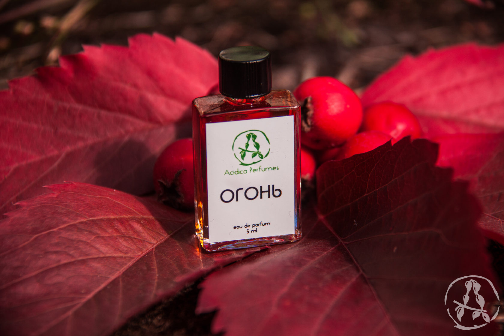 Стихии Огонь Acidica perfumes