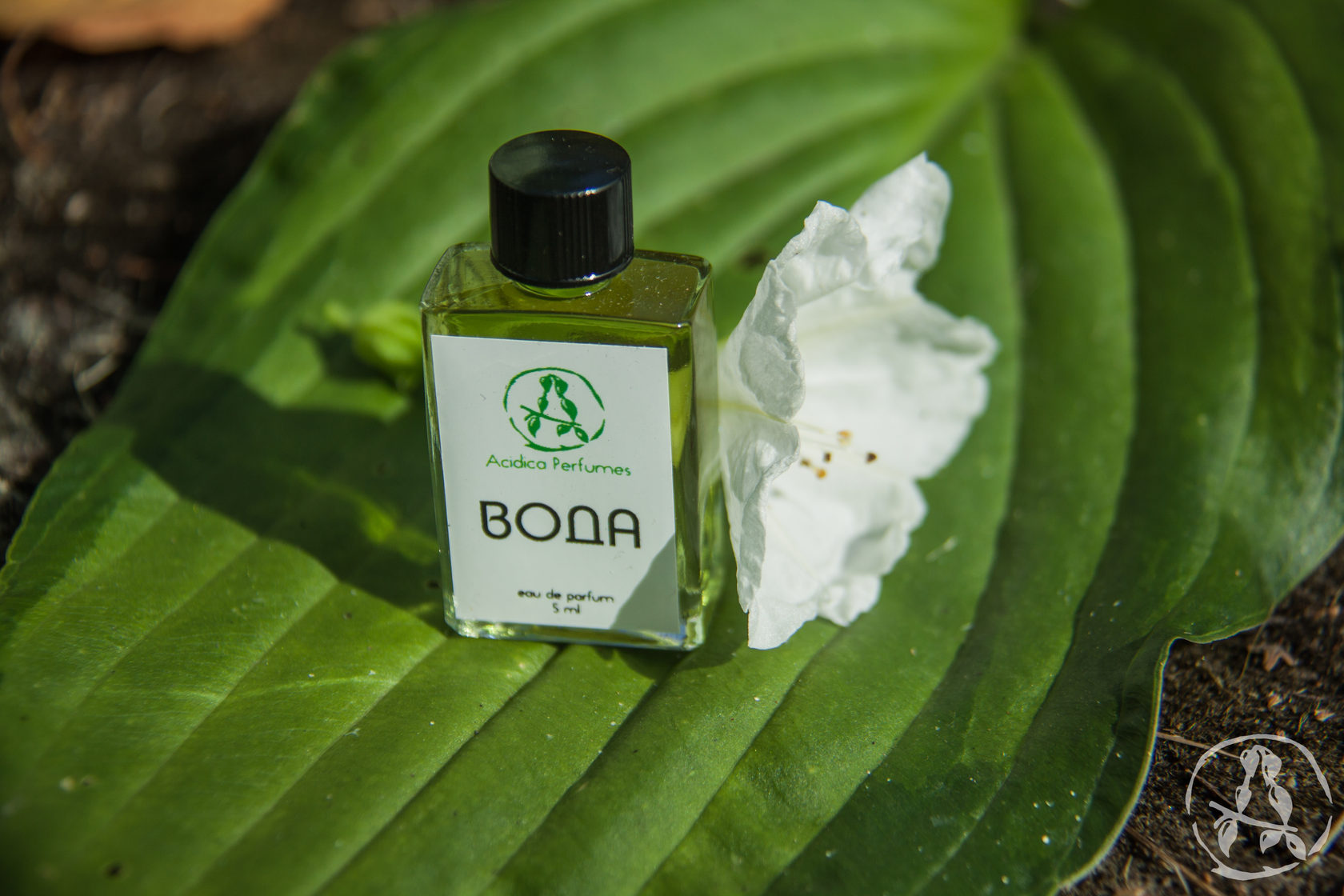 Стихии Вода Acidica perfumes